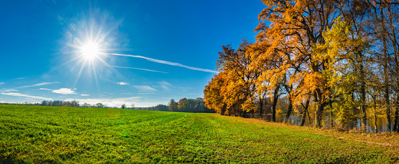 Panorama autumn landscape with trees and blue sky