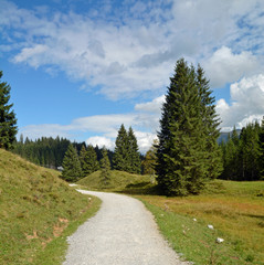 landschaft im kleinwalsertal