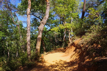Fototapeta premium Les carrières d'ocre de Roussillon