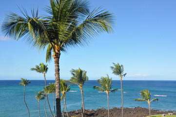 Fototapeta na wymiar Hawaiian Paradise