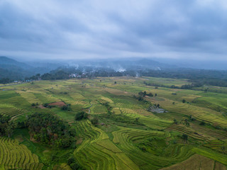 indonesia travel destination, aerial view of earth. amazing paddy fields in north bengkulu