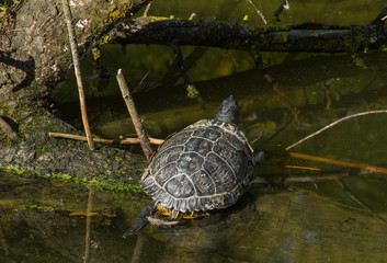Una giornata al Parco