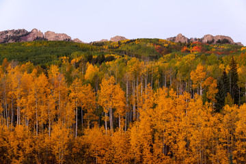Ruby Ridge Fall Colors