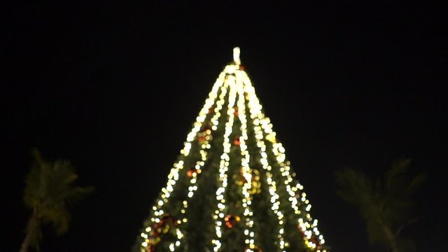 Gifts boxes under decorated Christmas tree in a southern country beetwen the palm trees. Happy New Year, Merry Christmas