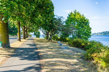 Lake Washington Walkway 2