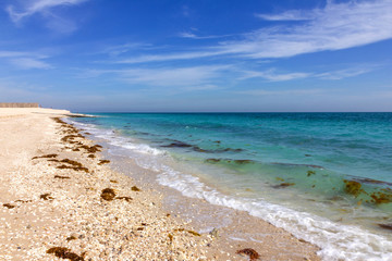 Sea beach landscape with blue water. United Arab Emirates. Sir Bani Yas island, Abu Dhabi
