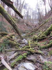 Schlucht am Bodensee