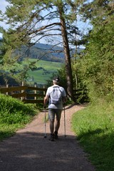 Una passeggiata nel bosco