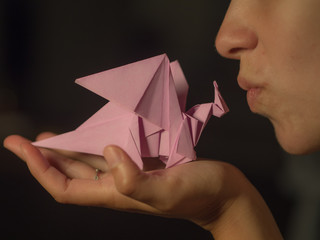 OLYMPUS DIGITAL CAMERA © Daniel