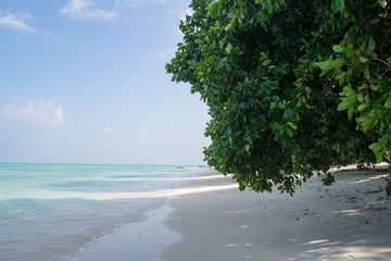 Radhanagar Beach at Havelock Island