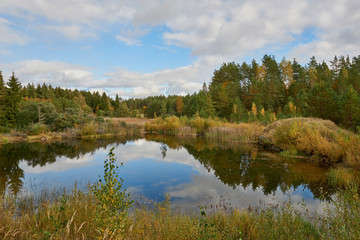 Fototapeta na wymiar Lake by the forest