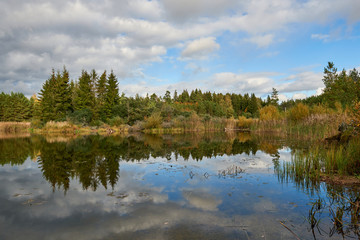 Fototapeta na wymiar Lake by the forest
