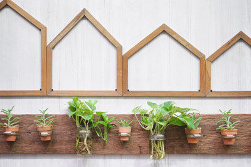 Gardening ideas. Vintage white wall decoration with various plants on the wall. Ideas for gardening with limited space.
