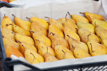 Bunch of organic fresh pears on a market. Pears of medium size. Healthy eating concept