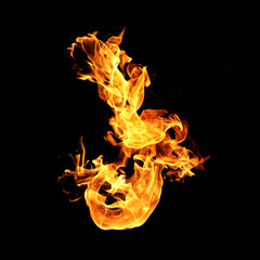 Fire flames on a black background.