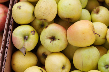  Bunch of organic fresh apples on a market. Apples of medium size. It can be used as a background. Healthy eating concept