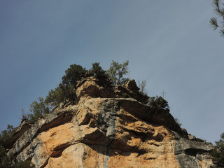 Nidos de buitre en las paredes de piedra del Parque Natural del Alto Tajo. Castilla la Mancha....