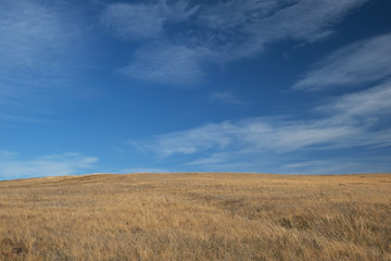 autumn steppe and blue sky with cloudy clouds