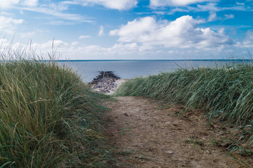 Blavand