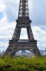 Fototapeta na wymiar Eiffel tower France