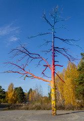 tree trunk paint rainbow colors