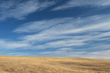 Fototapeta na wymiar autumn steppe and blue sky with cloudy clouds