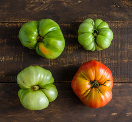 ugly organic tomatoes on brown wooden table top view square composition