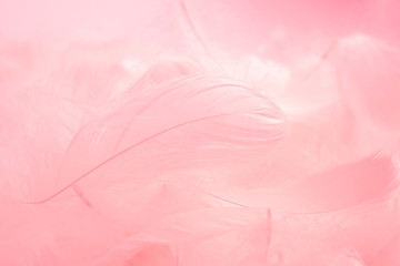 soft pink feathers background