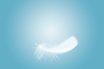 soft single white feather floating in the air