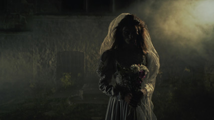 Silhouette of a dead bride in the fog. Horror.
