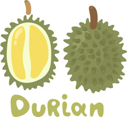 Whole and half of durian icon. Isolated object. Durian logo. Healthy vitamin asian food. Vector illustration