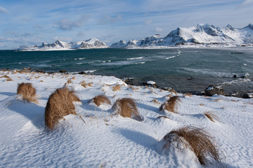 Beautiful landscape of snow covered beach in winter season, Lofoten islands, Norway