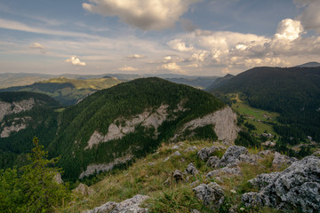 Landscape with forests in the Carpathian Mountains