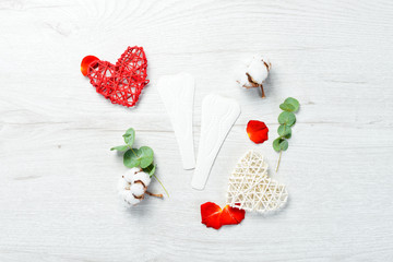 Women's sanitary pads. Hygiene products. Top view. Free copy space.