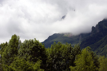 Niebla en la montaña