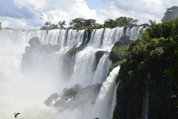 View over the Iguazu falls in Brazil/Argentina