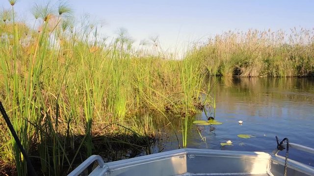 Flussfahrt im Okavango Delta