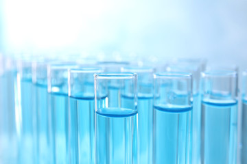 Many test tubes with light blue liquid on grey background, closeup