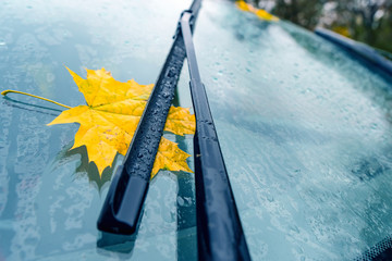 Yellow maple leaf under car wiper on windshield.