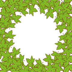 Fototapeta na wymiar Frame with green leaves