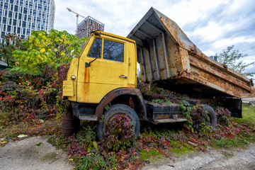 Fototapeta na wymiar old rusty truck standing in green grass and vegetation