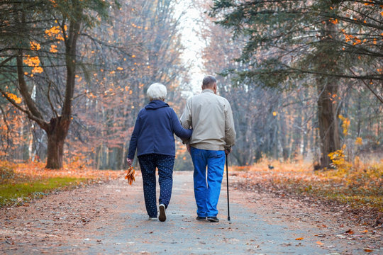 Senior couple walking in an autumn park.