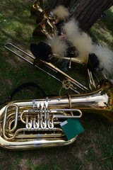 trumpet on a background