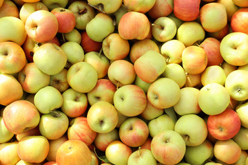 Fresh ripe apples as background, top view