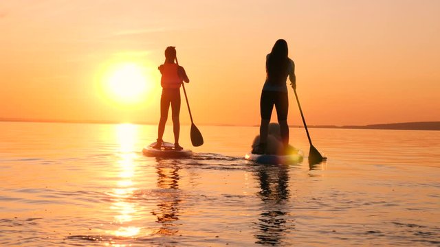 A woman with a dog and a boy are doing stand-up paddleboarding
