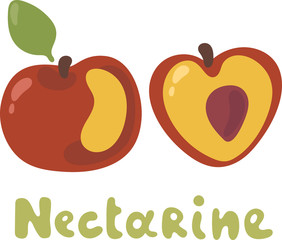 Cartoon of an orange red and yellow nectarine fruit with green leaf. Half a nectarine with brown seed vector illustration on white background. Doodle text for icon