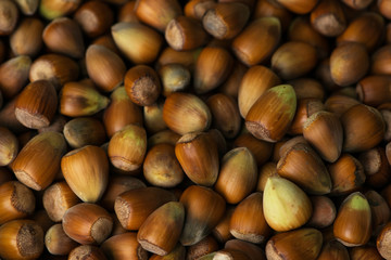 Top view of many hazelnuts