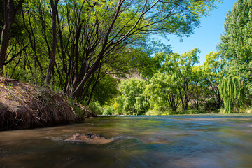 Arroyo Patagonico
