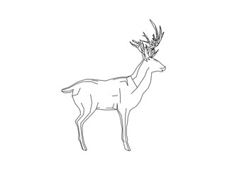 Vector illustration of the side of a deer in a polygon style on white background