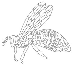 Bee coloring page for antistress painting vector illustration 